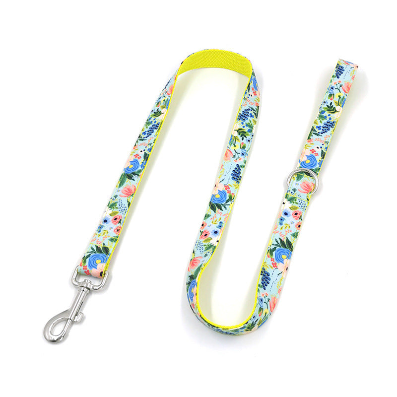 Dog Leash - Pet Collar - Dog Chain - Collar Set