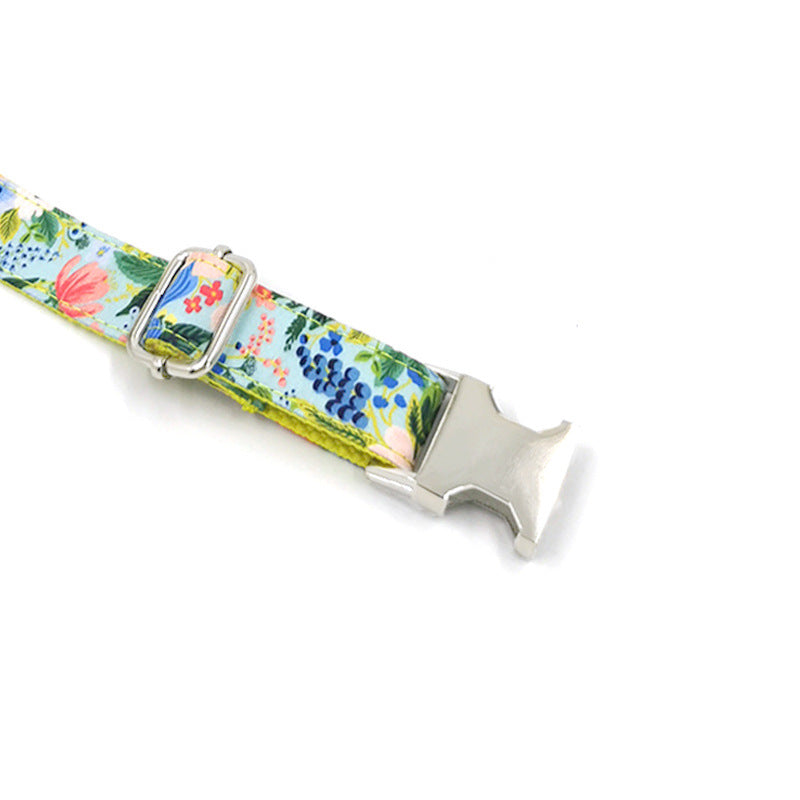 Dog Leash - Pet Collar - Dog Chain - Collar Set