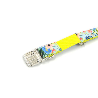 Dog Leash - Pet Collar - Dog Chain - Collar Set